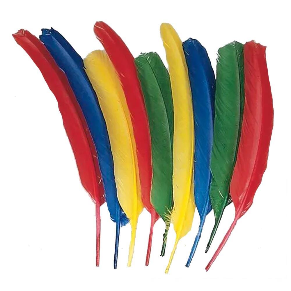 School Smart Long Craft Feather Quills, 10 to 12 Inches, Assorted Colors, Pack of 100 086301